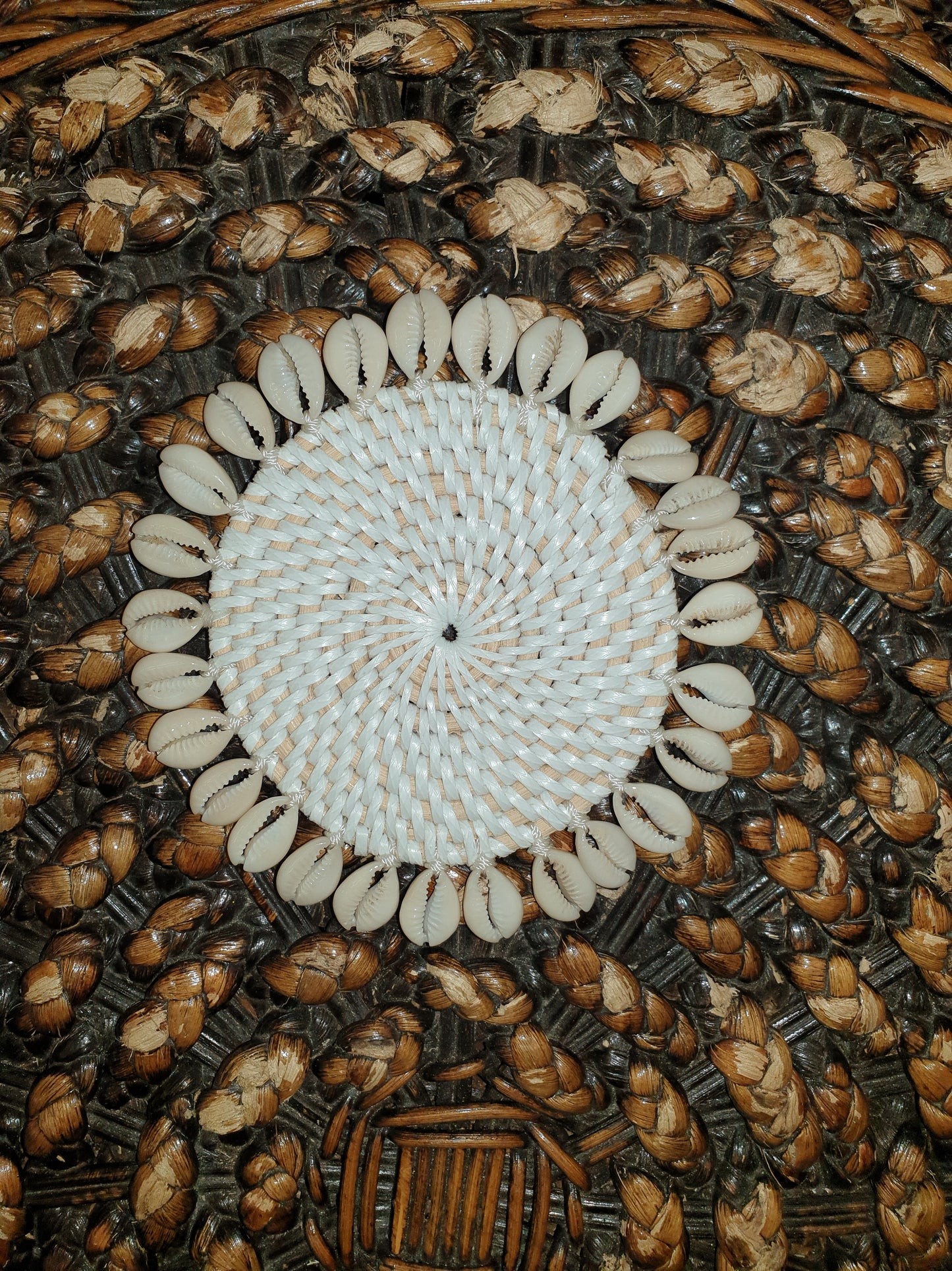 Shell coaster